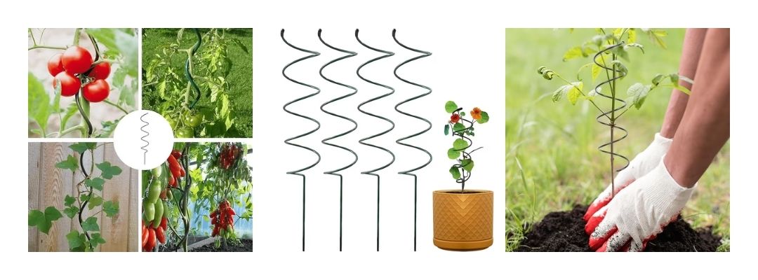Suporte Espiral de Cobre  para Plantas Trepadeiras e Hortas Verticais